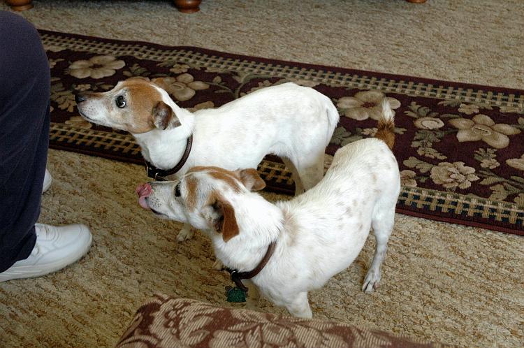 ouray0116.jpg - Sisters - Maggie & Brigette