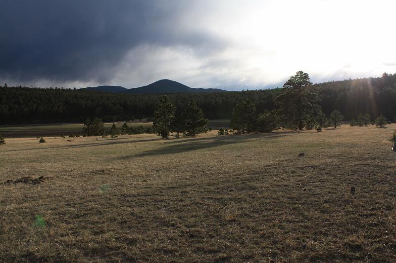 Phil2009_0275a-153.JPG